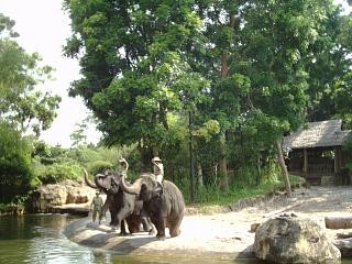 シンガポール、スリランカ、デッキツアー_e0076204_10162067.jpg