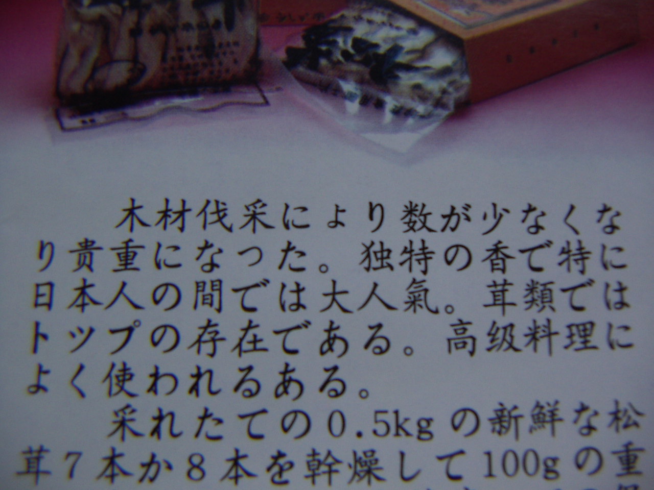 大連の思ひ出_b0023824_225756.jpg