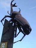 e0024730_775140.jpg