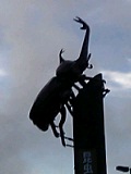 e0024730_775174.jpg