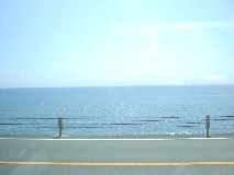 e0016135_2315124.jpg