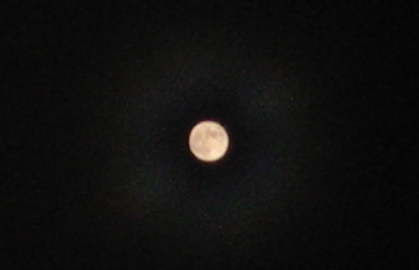 e0026744_0301612.jpg