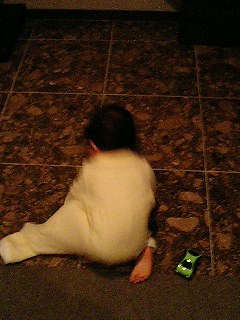 d0001854_18556100.jpg
