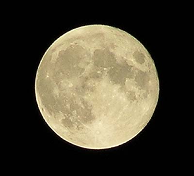 a0020763_4332236.jpg