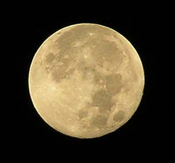 a0020763_4492055.jpg