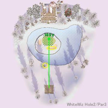 WhiteWiz Hole2/Par3_c0050574_8175324.gif