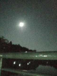 お月見☆_c0038096_0274818.jpg