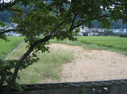 a0031005_16252071.jpg