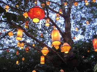 c0055212_13235872.jpg