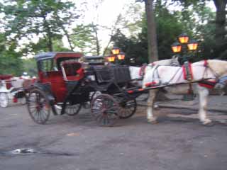 c0055212_13314345.jpg