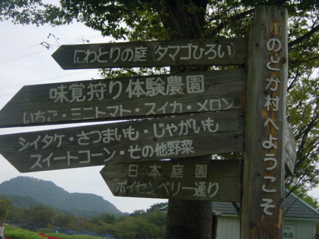 c0002614_8451311.jpg