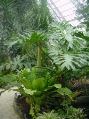 c0002614_8472981.jpg