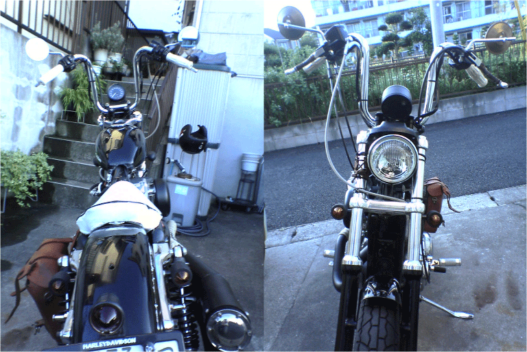 c0006028_1401966.gif