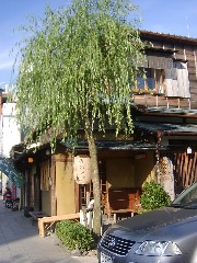 e0016135_2211622.jpg
