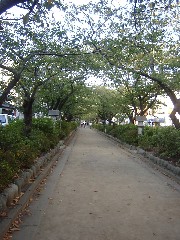 e0016135_22321391.jpg