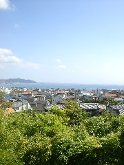 e0016135_891450.jpg