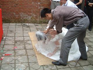 c0029042_45937.jpg