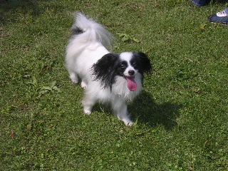 c0065643_2011119.jpg