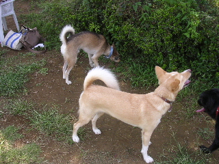 c0065643_20243851.jpg