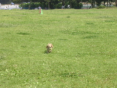 c0065643_20265525.jpg