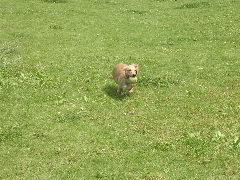 c0065643_2027163.jpg