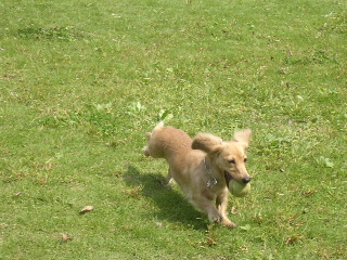 c0065643_20273696.jpg