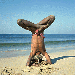 様々な印 2005.9.19_b0002156_0143646.gif