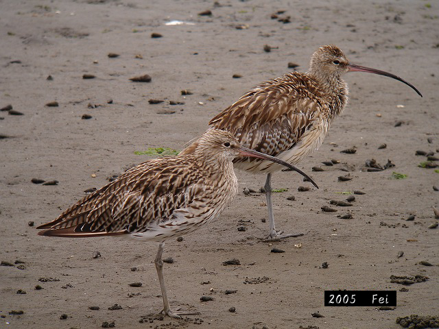 b0069564_20121567.jpg