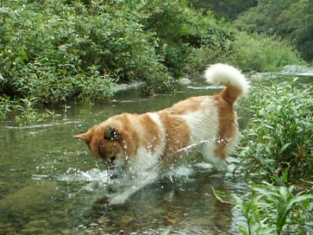 みんなで遊ぼう！仲良し写真館！「夏の思い出館」　2005年9月20日火曜日_e0039087_1550081.jpg