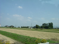 d0004691_20254197.jpg