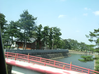 d0004691_20442075.jpg