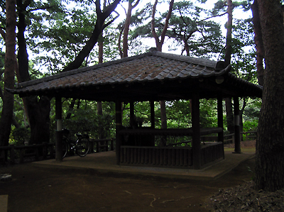 e0066210_23431.jpg