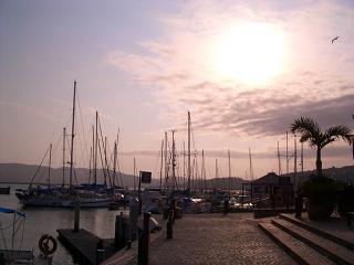 c0000088_010285.jpg