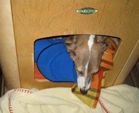 チェルビーのおうち_a0009397_20353119.gif