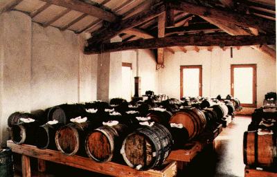 バルサミコ酢 （Aceto balsamico）_d0006400_0415015.jpg