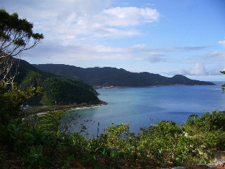 a0019212_1551252.jpg