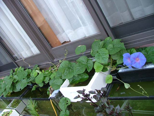 c0045227_23252549.jpg