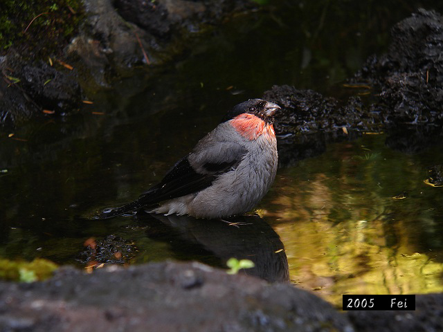 b0069564_20312117.jpg