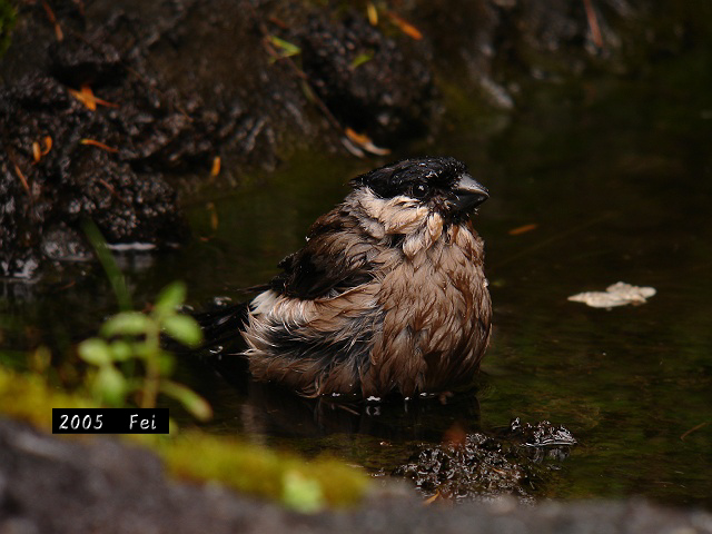 b0069564_2032189.jpg