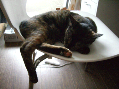 b0039168_9442333.gif