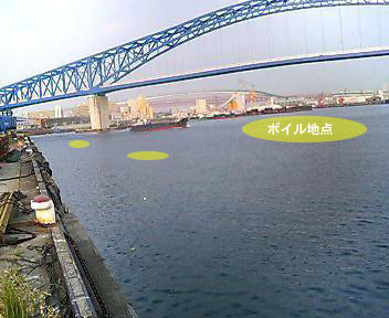 b0041521_88332.jpg