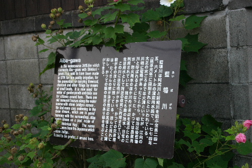 e0018678_22447100.jpg