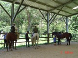 HORSE RIDING_c0044483_503594.jpg