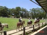 HORSE RIDING_c0044483_504953.jpg