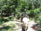 HORSE RIDING_c0044483_5178.jpg