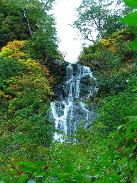 d0033398_23222638.jpg