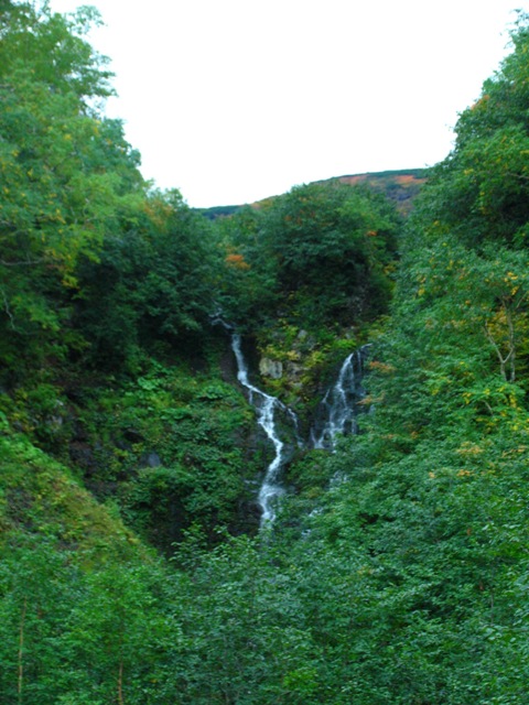 d0033398_2344442.jpg