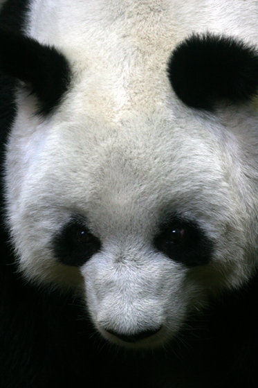 b0016600_173856.jpg