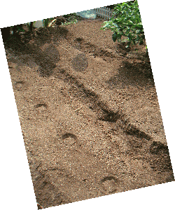 e0014000_9235816.gif