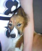 e0011102_20221726.jpg